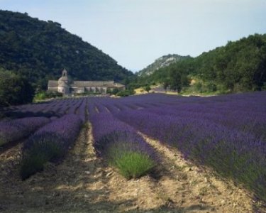 Abbaye de S�nanque, Provence m�di�vale.